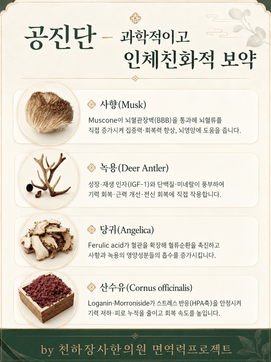 공진단 보충 이미지