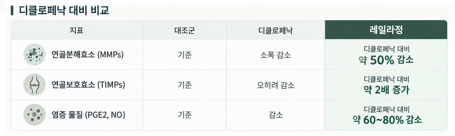 연골 구조 및 대사 관련 연구 인포그래픽